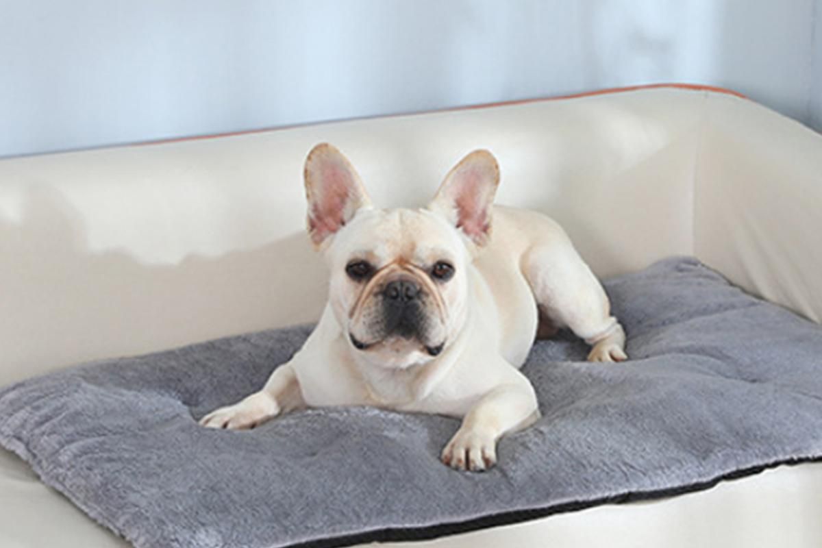 2Pcs Pet Blanket Self-Heating Bed Pad Cat Dog Self-Warming Cushion-Grey S - Image 2