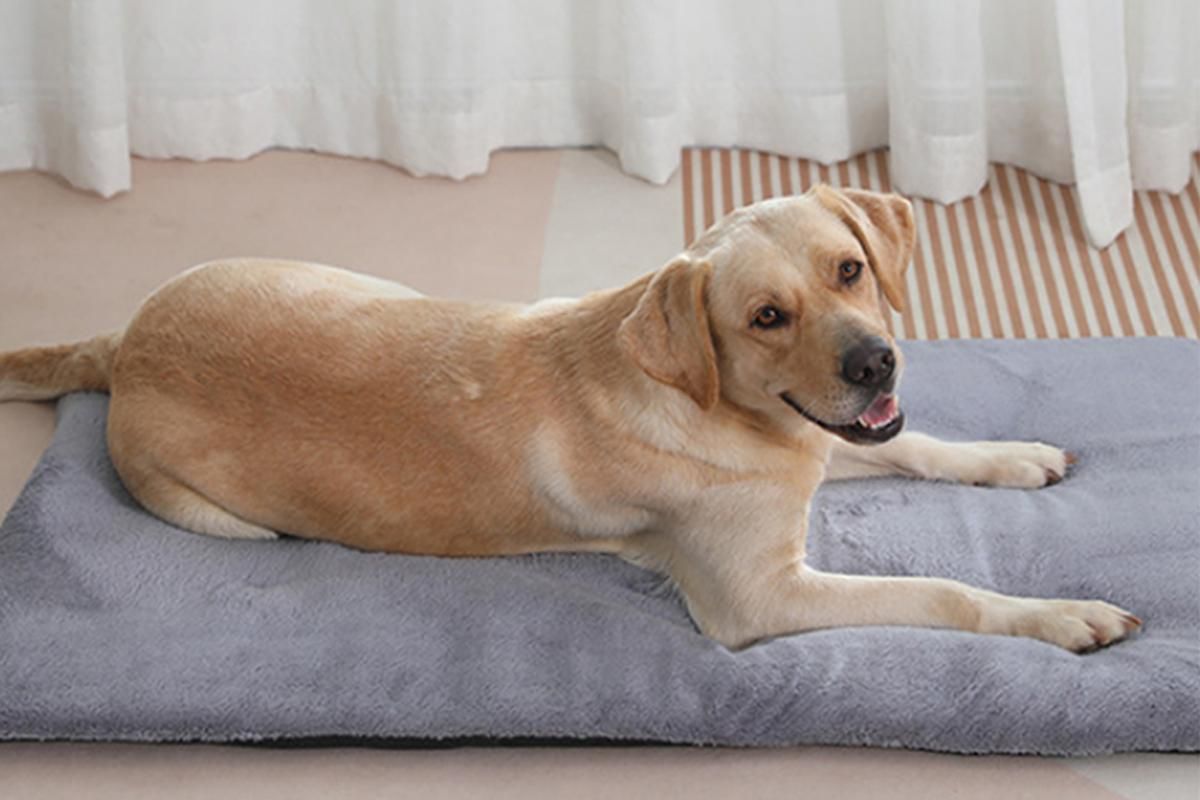 2Pcs Pet Blanket Self-Heating Bed Pad Cat Dog Self-Warming Cushion-Grey S - Image 3